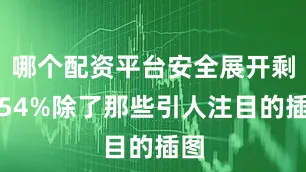 哪个配资平台安全展开剩余54%除了那些引人注目的插图