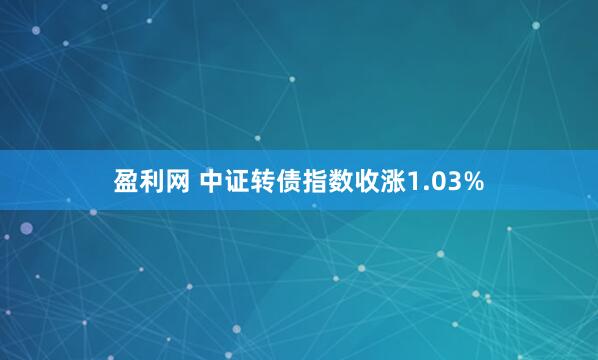盈利网 中证转债指数收涨1.03%